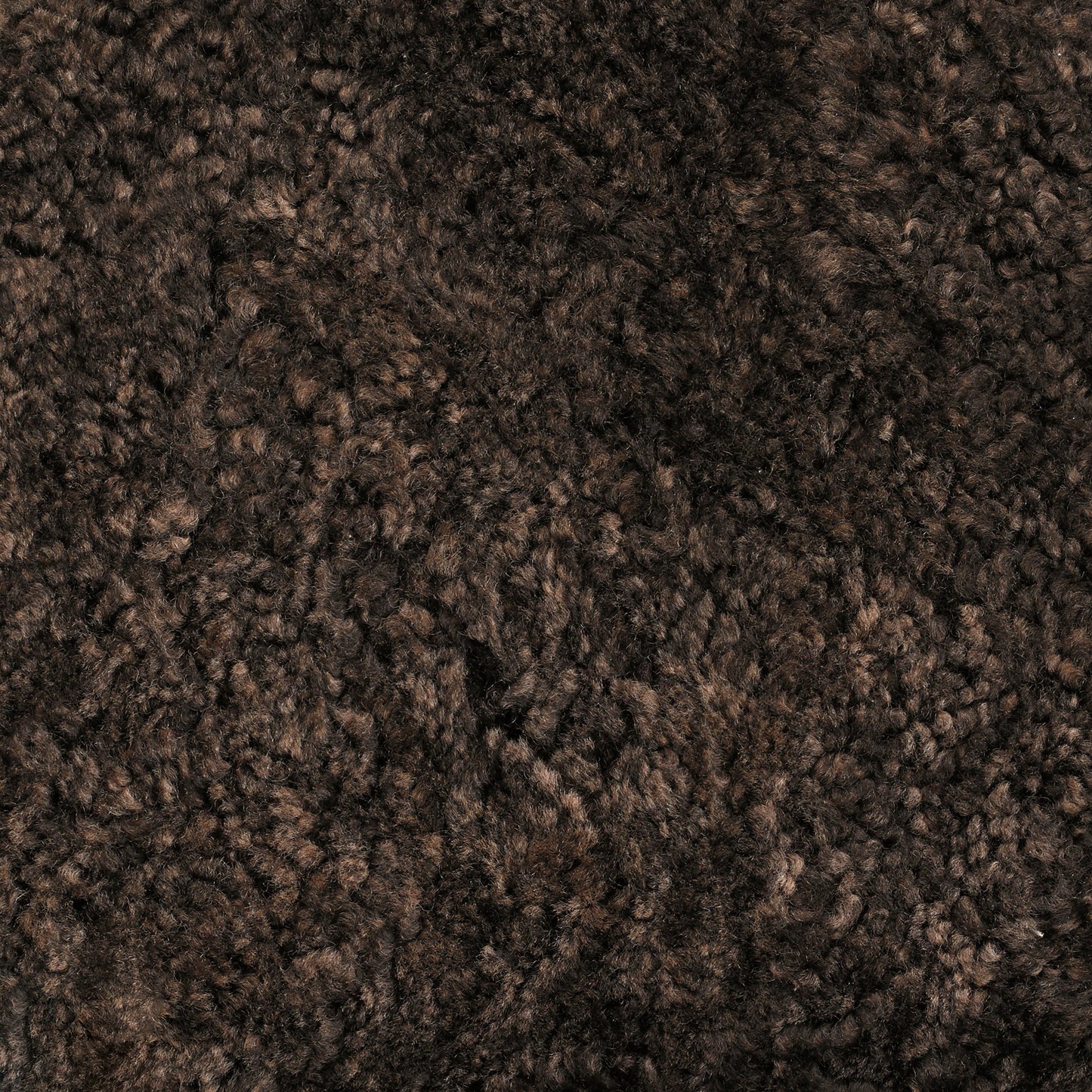 A close-up texture shot of Skandilock Sheepskin in the colour Espresso. The dark brown wool is thick, soft, and curly.
