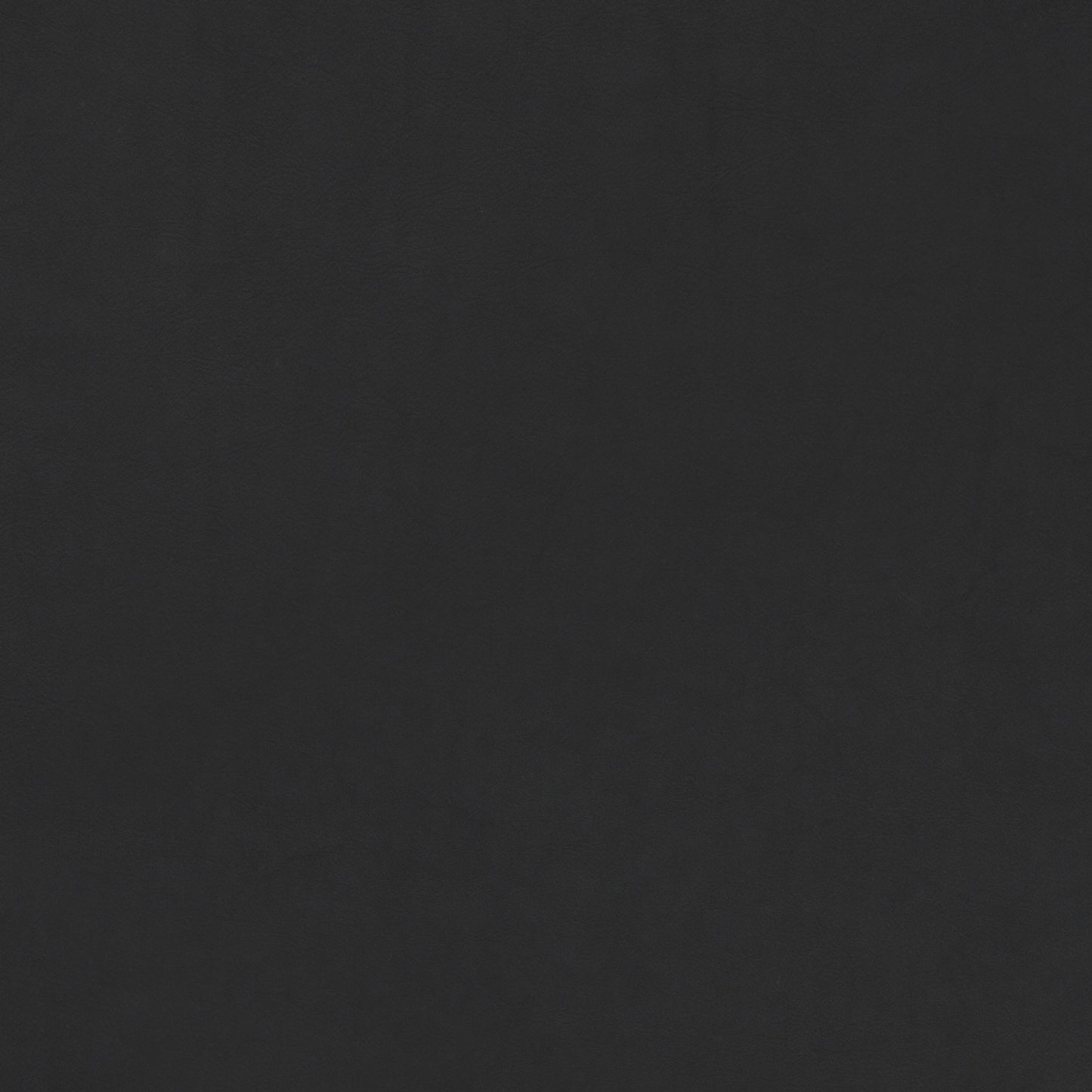 A close-up swatch of Dunes 21003 leather, showing the fine grain and deep black colour of the material's texture.