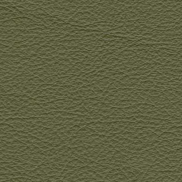 Sierra, 0441