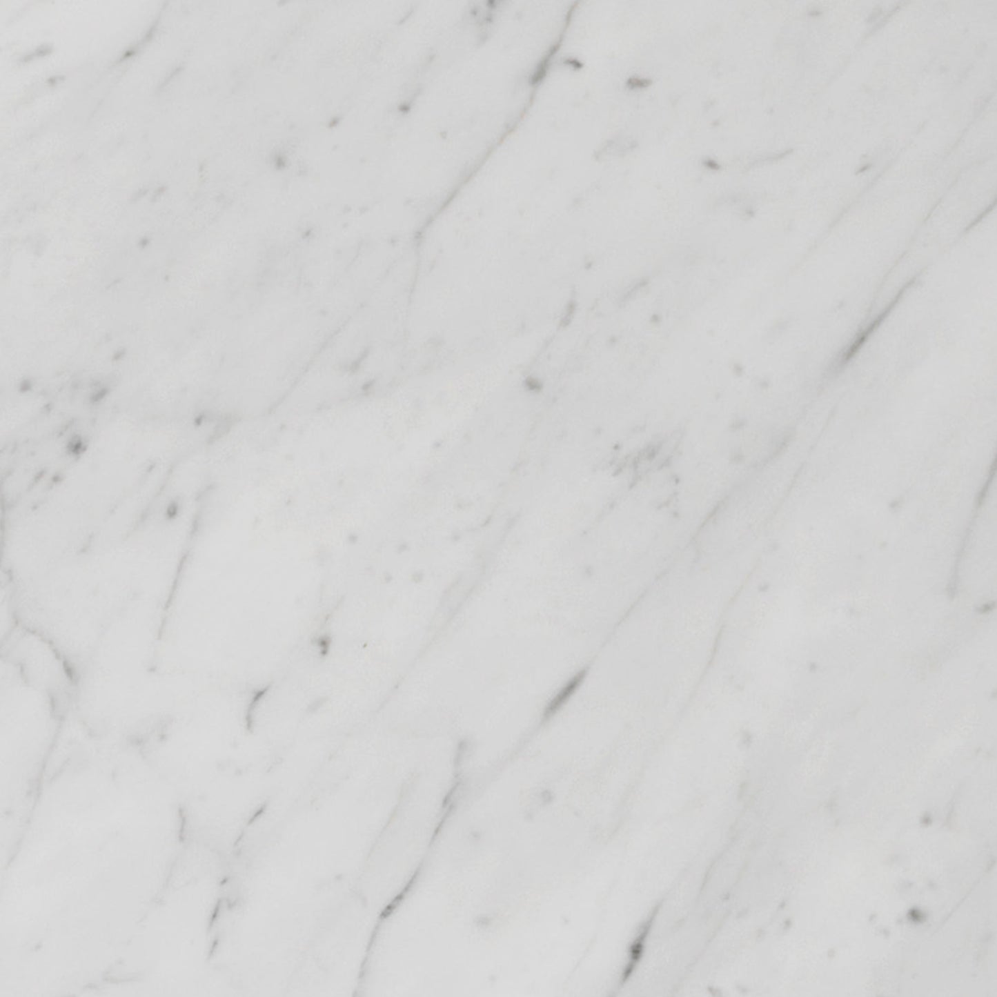 A close-up of the Carrara Marble sample, highlighting its white base with delicate, intricate light to medium grey veining.