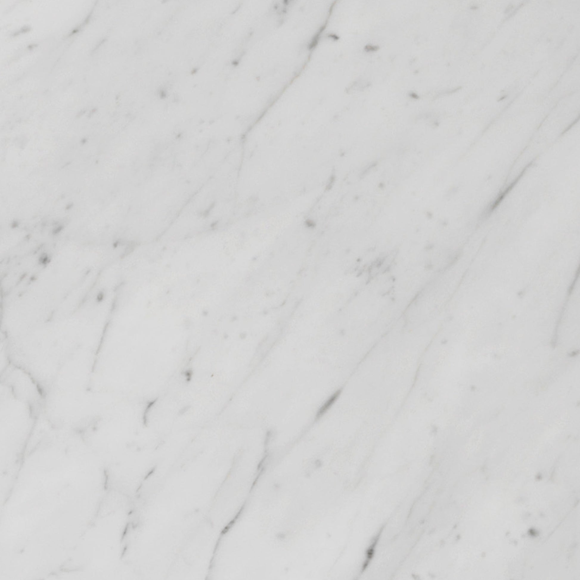 A close-up of the Carrara Marble sample, highlighting its white base with delicate, intricate light to medium grey veining.
