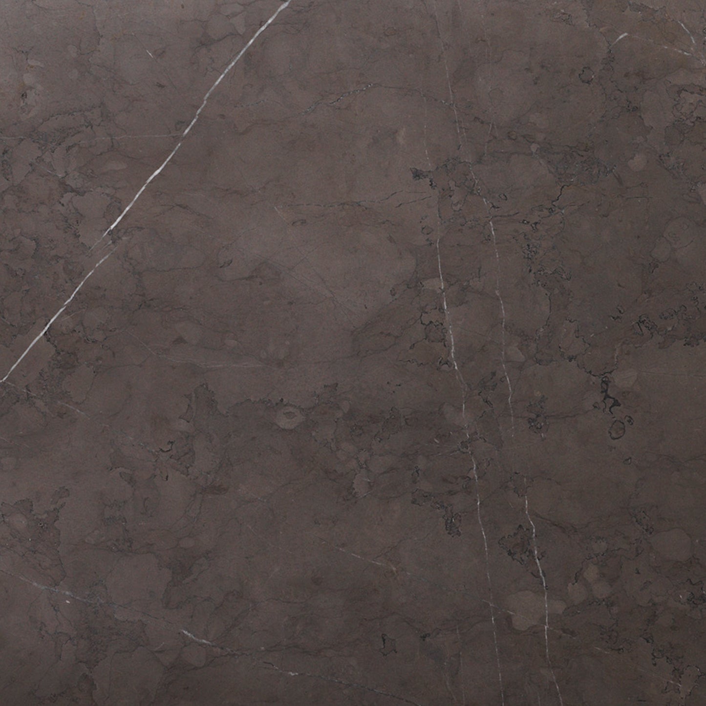 Close-up of a Grey Kendzo Marble slab, showing its dark grey surface with distinctive white and dark grey veining throughout.