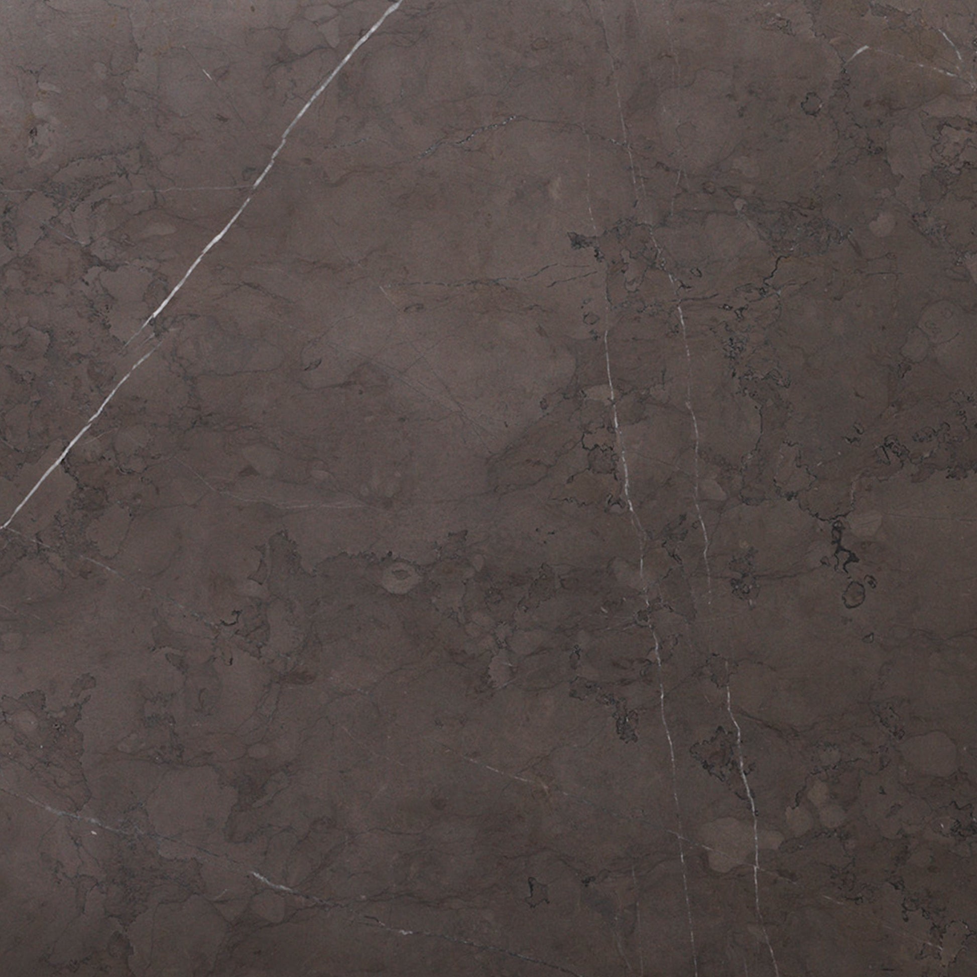 Close-up of a Grey Kendzo Marble slab, showing its dark grey surface with distinctive white and dark grey veining throughout.