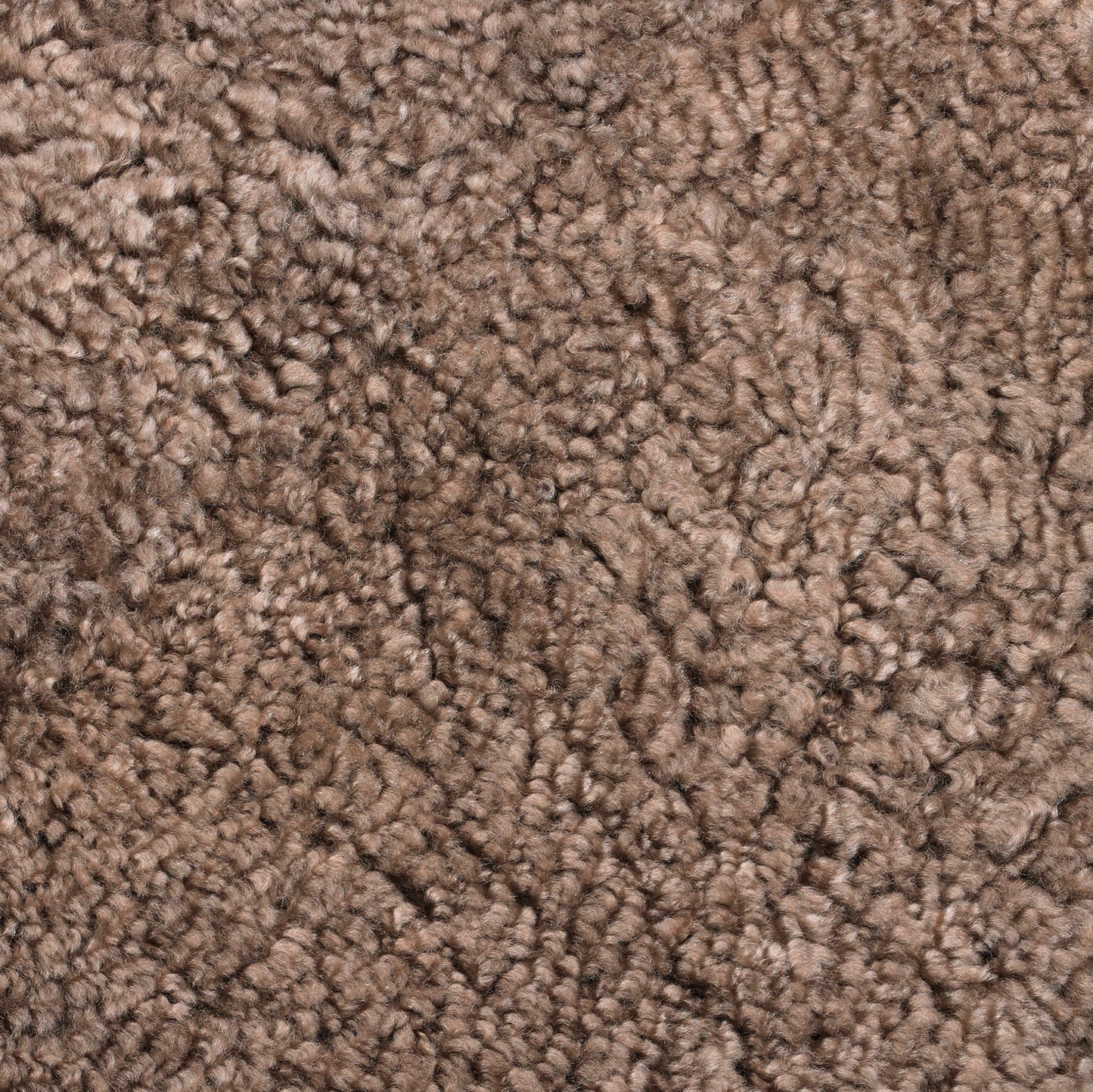 A close-up shot of Skandilock Sheepskin in Sahara, showcasing its dense, curly, and soft light brown woolly texture.