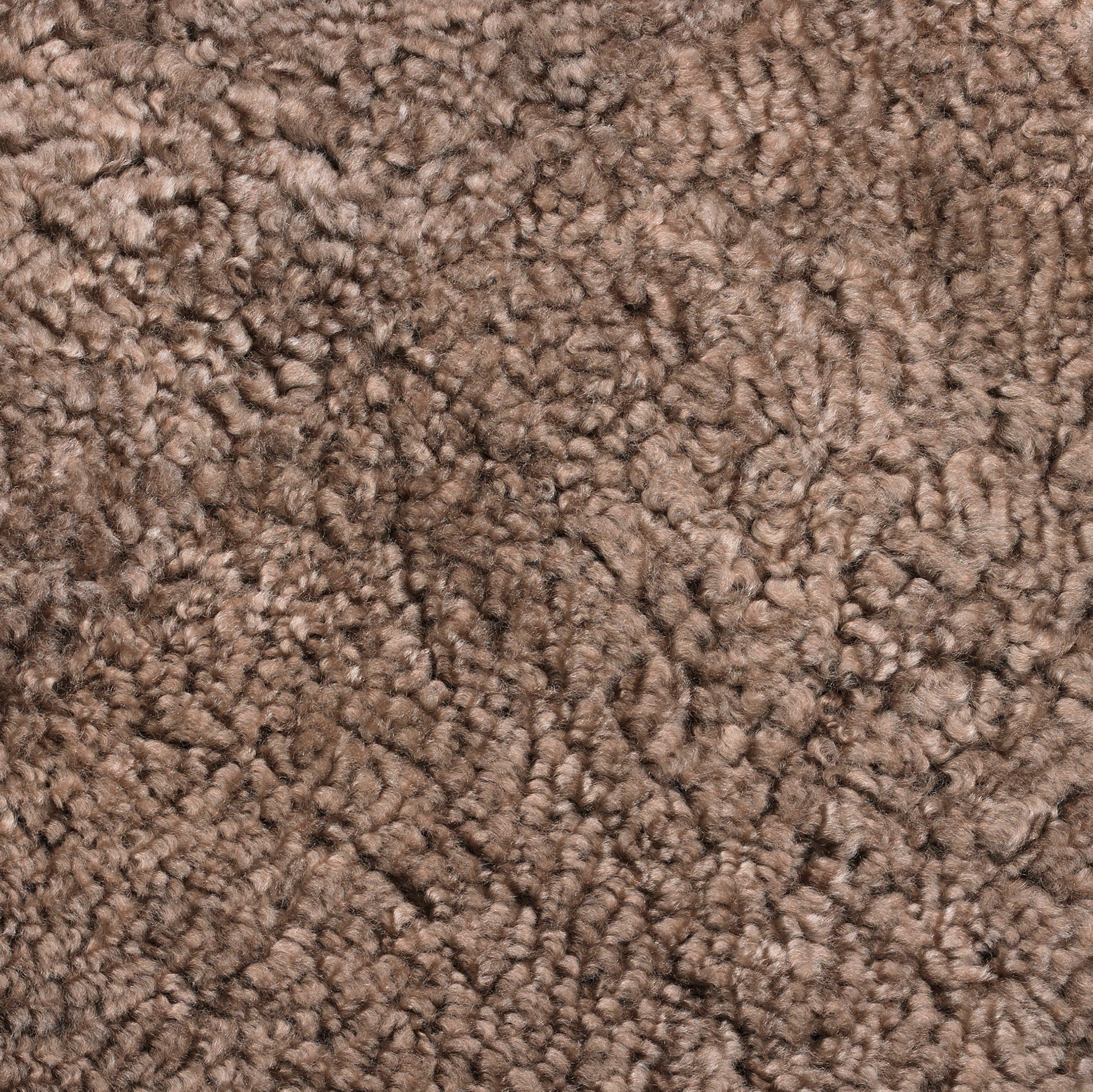 A close-up shot of Skandilock Sheepskin in Sahara, showcasing its dense, curly, and soft light brown woolly texture.