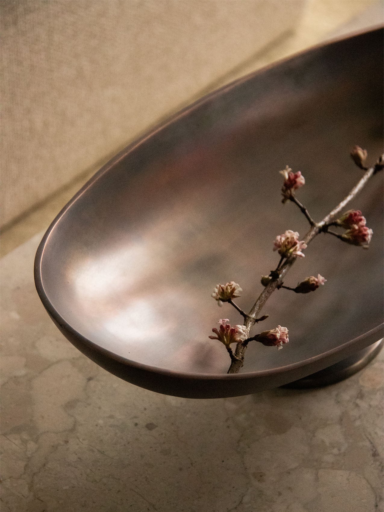 Close-up, angled view of the Pavot Centerpiece, a dark bronze bowl with a flowering branch inside, on a stone surface.