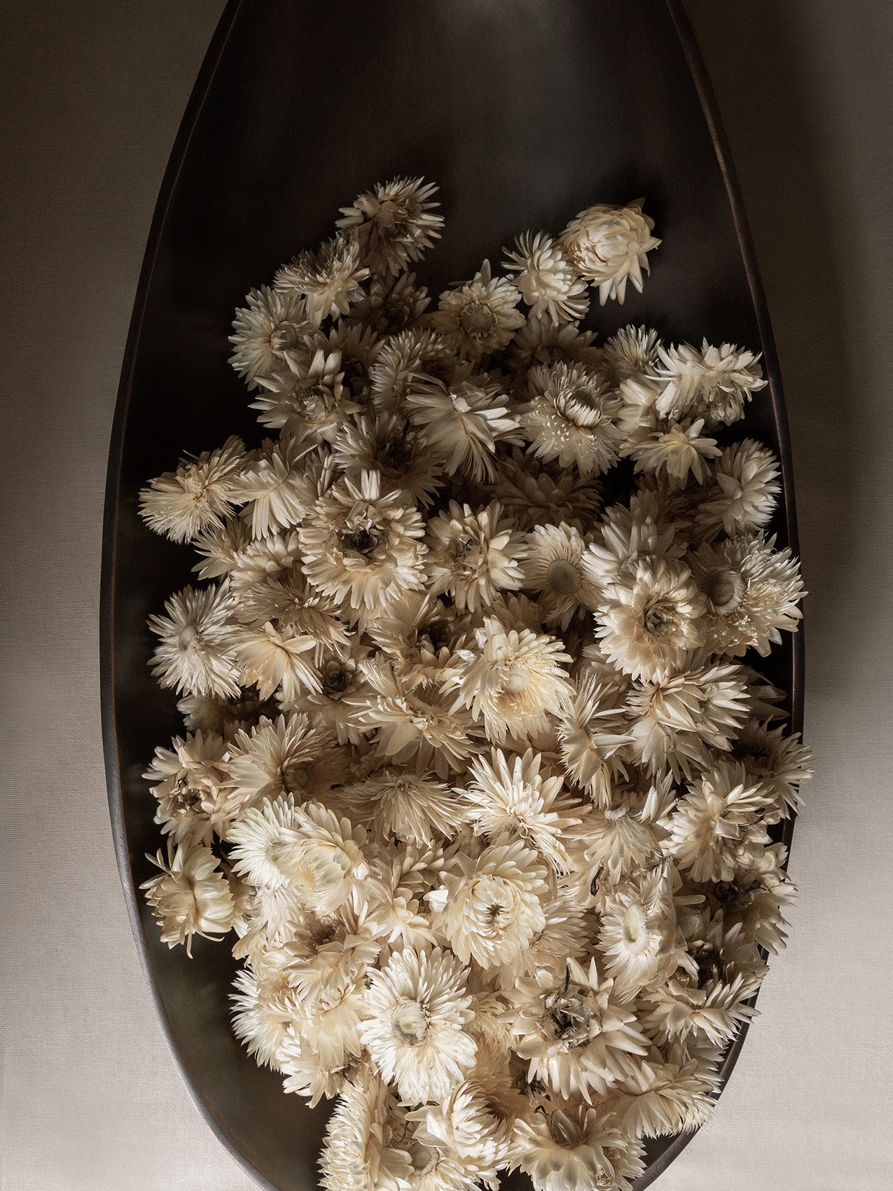 Overhead view of the dark, oval Pavot Centerpiece filled to the brim with a dense arrangement of dried, cream flowers.