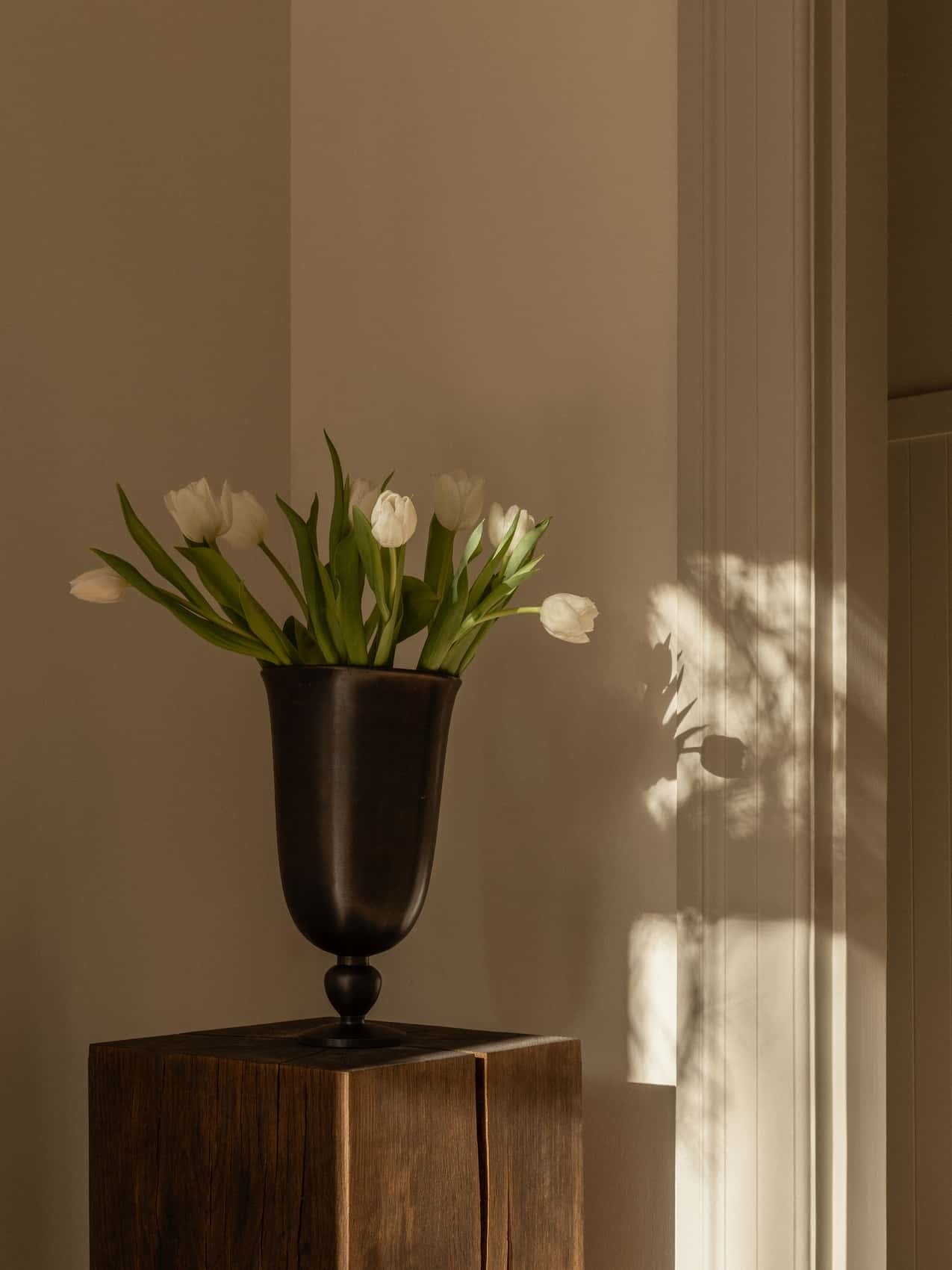 The dark bronze Pavot Vase filled with white tulips, shown on a dark wood plinth. Sunlight from the side casts soft shadows.