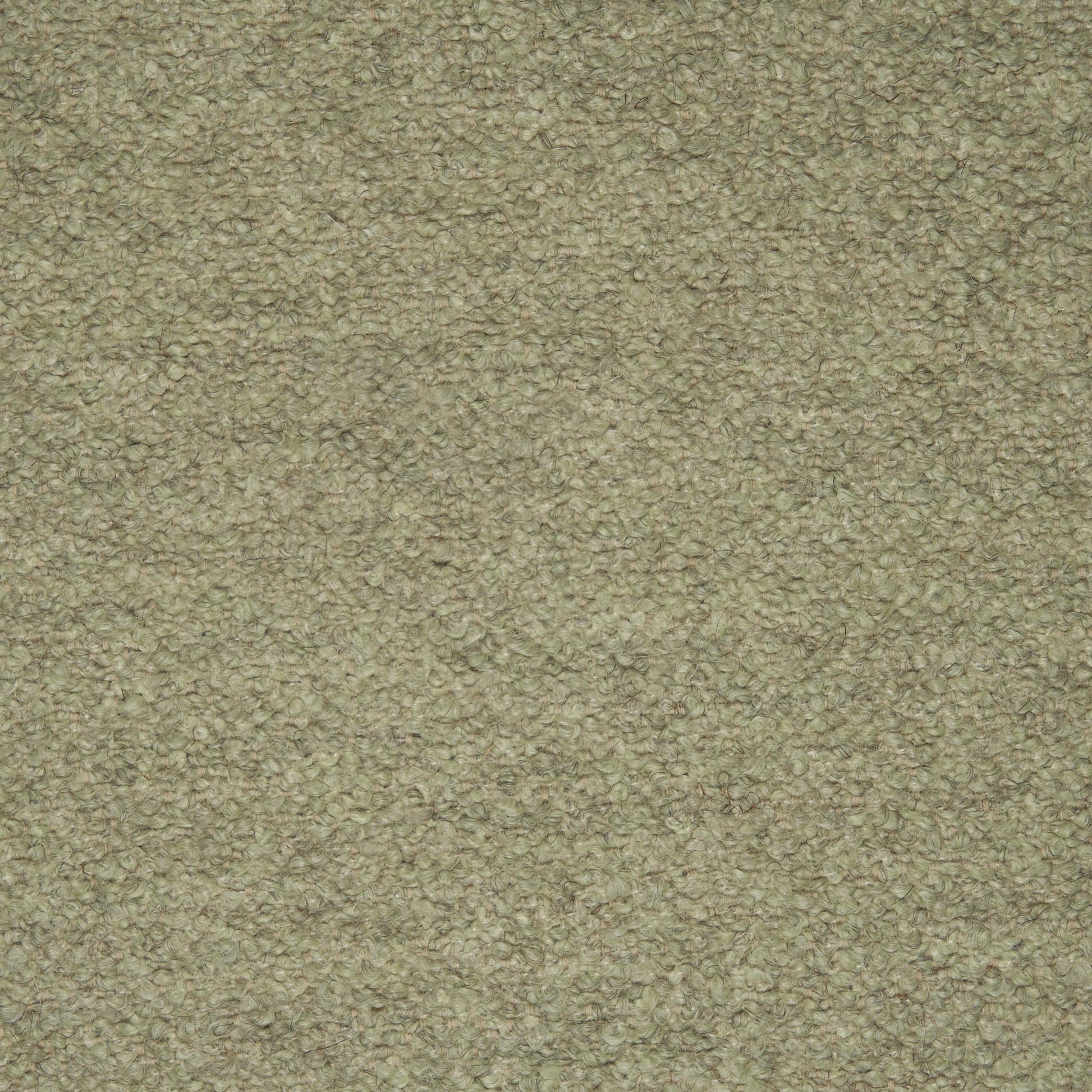 Close-up texture of Barnum C007 fabric, showing a nubby, looped bouclé weave in a muted, earthy green colour.