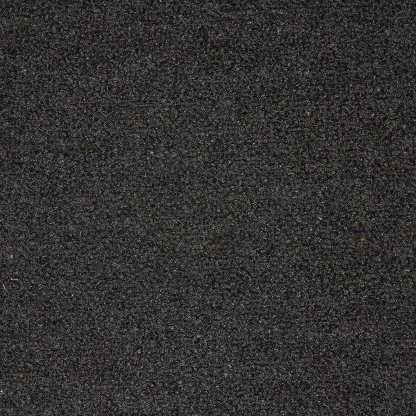 A close-up image of the Barnum C013 fabric swatch. The material is a dark grey bouclé with a dense, curly texture.