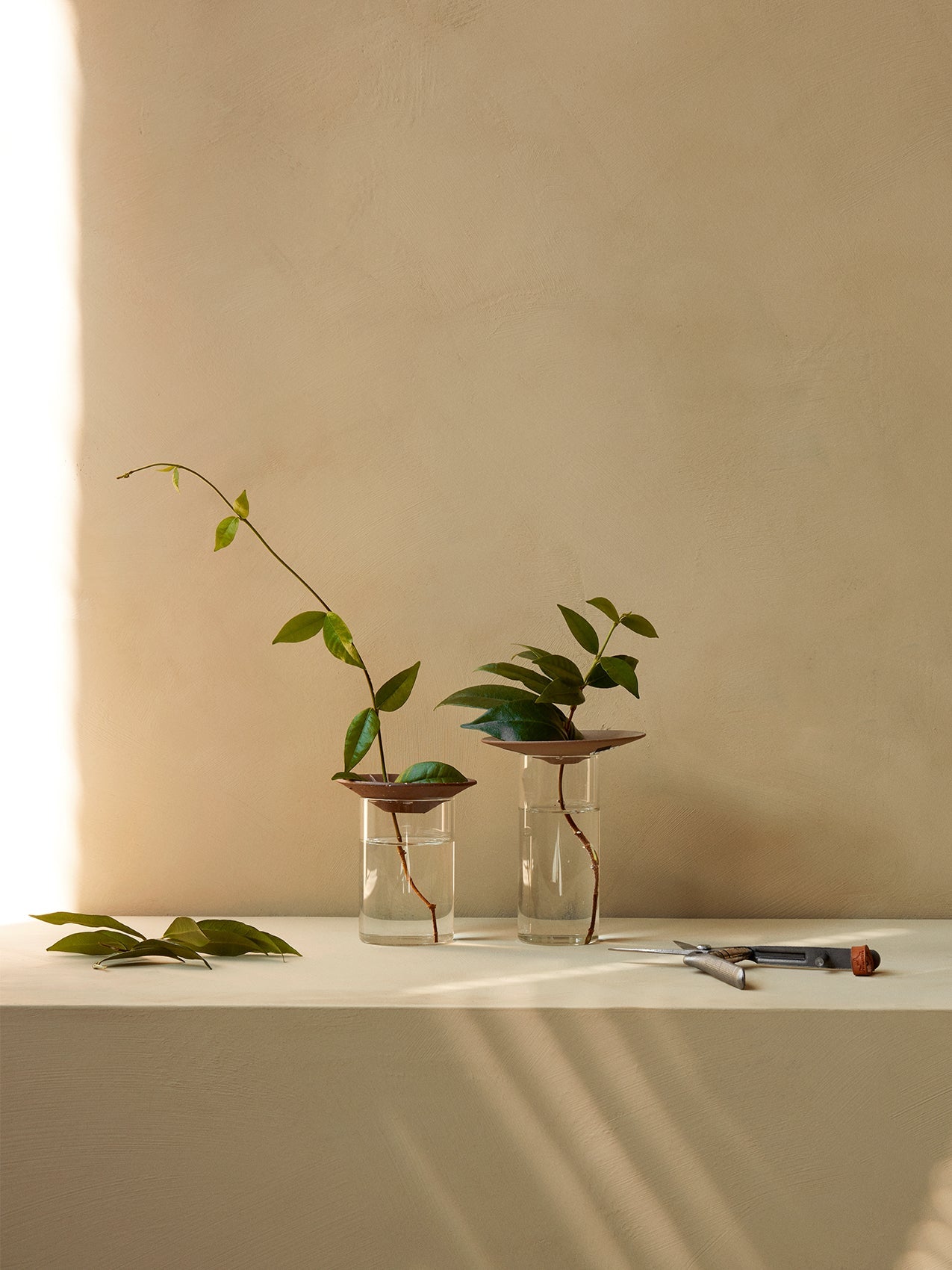 クレスコの伝播花瓶 |アウドがデザインしたガーデンコレクション