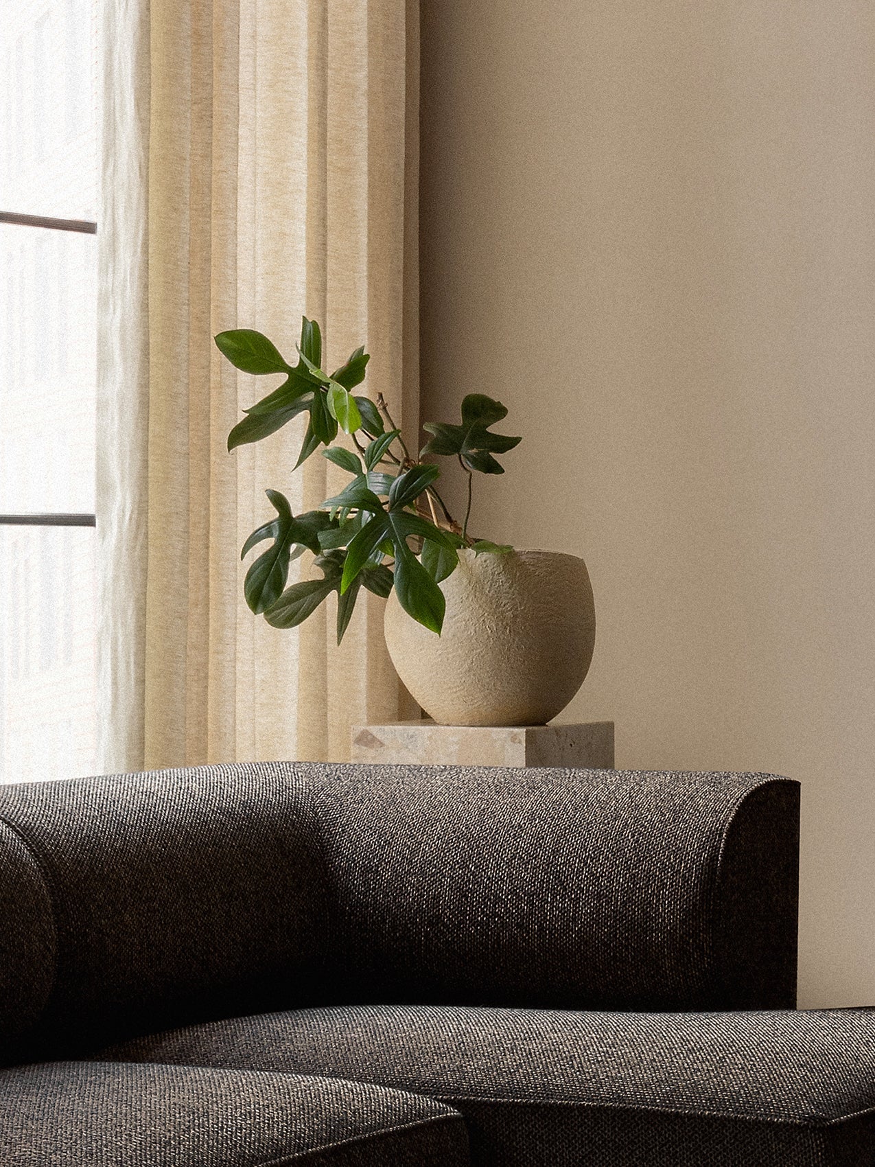 A close-up of the Eave Modular Sofa Chaise Longue's dark fabric, with a green plant in a beige Plantas Planter.