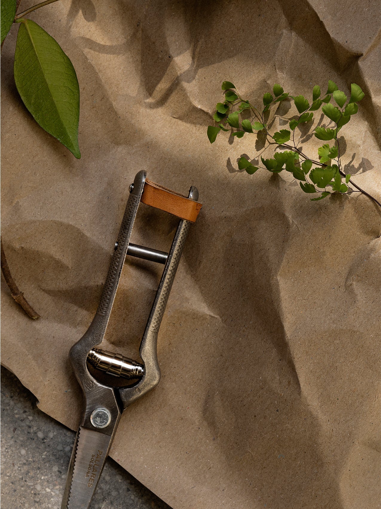 A close-up of the Pallare Plant Pruner resting on a piece of crumpled brown paper, surrounded by freshly cut green leaves.