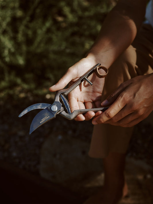 A person's hands holding dark metal Pallares Plant Shears in a sunlit garden, showing textured handles and curved blades.