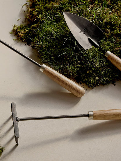Pallares Plant Tools Set, including a trowel, rake, and weeder with light wood handles, styled on a flat surface with moss.