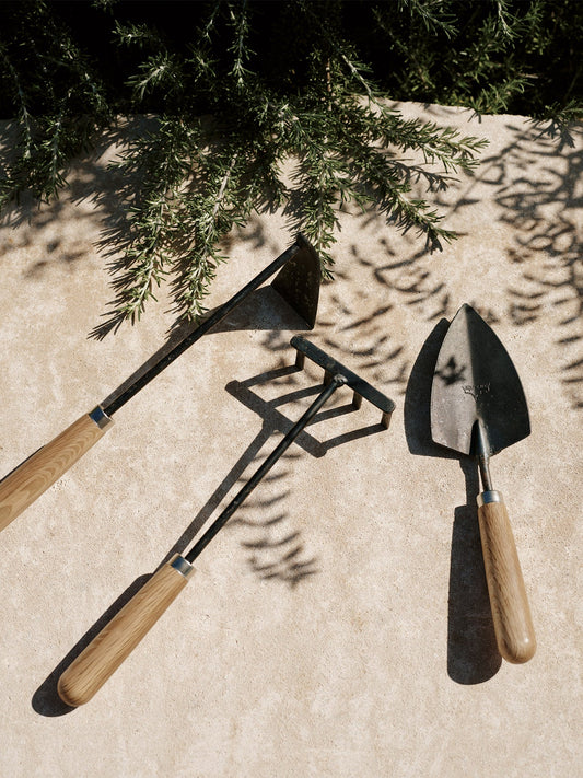The Pallares Tool Set, featuring a hoe, trowel, and cultivator with wooden handles, on a stone surface under a plant.
