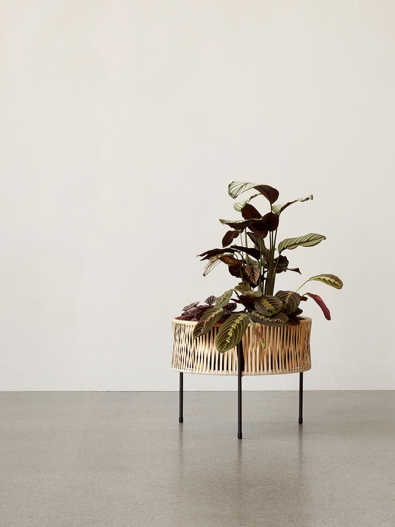 ポットとプランター