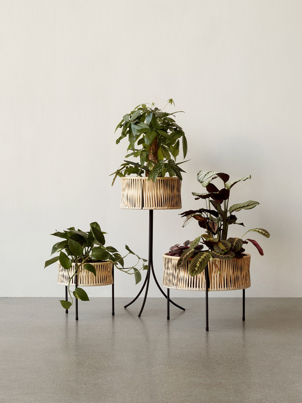Audo  Kubus フラワーポット Kubus Flowerpot by Mogens Lassen | Flowerpot Audo Copenhagen