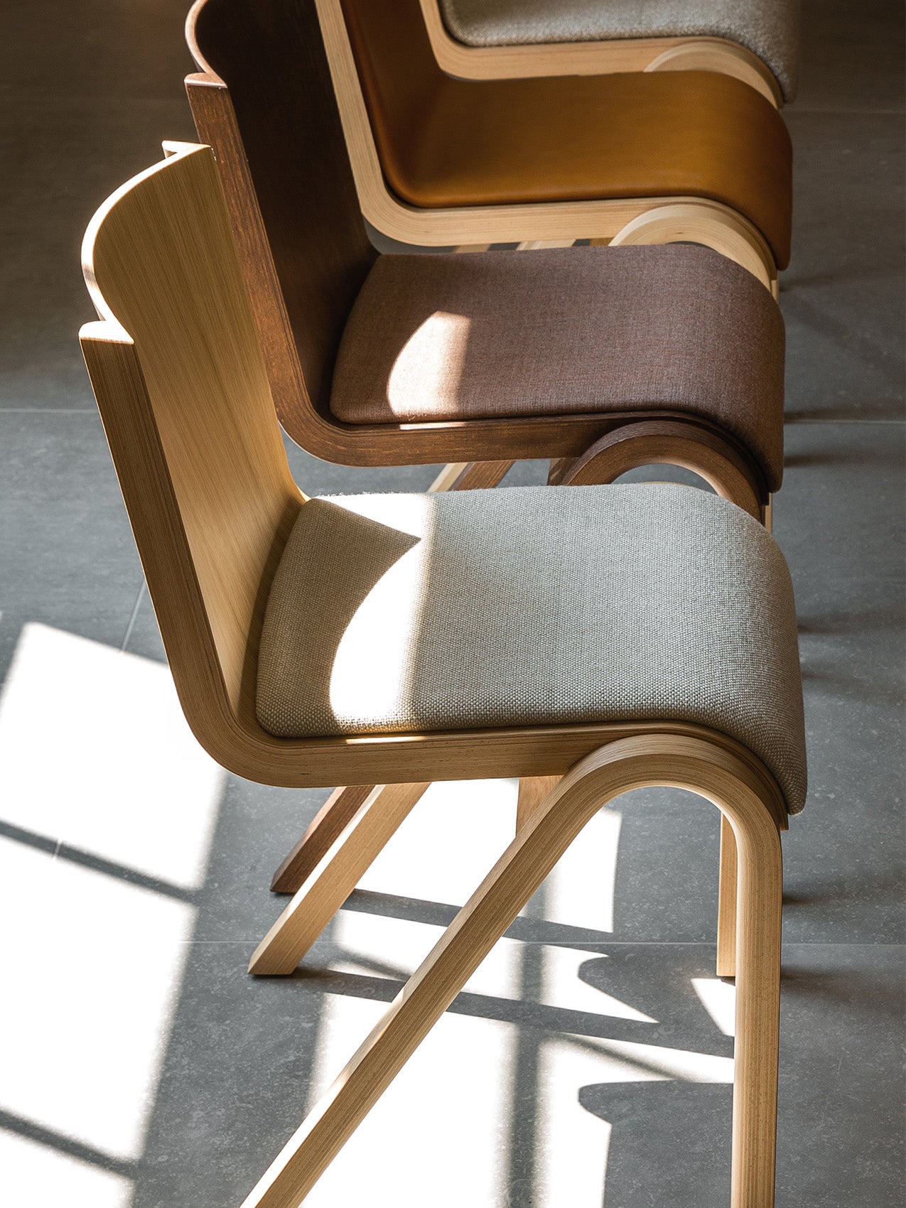 A row of Ready Dining Chairs with upholstered seats in different wood and fabric finishes, lit by sunlight on a grey floor.
