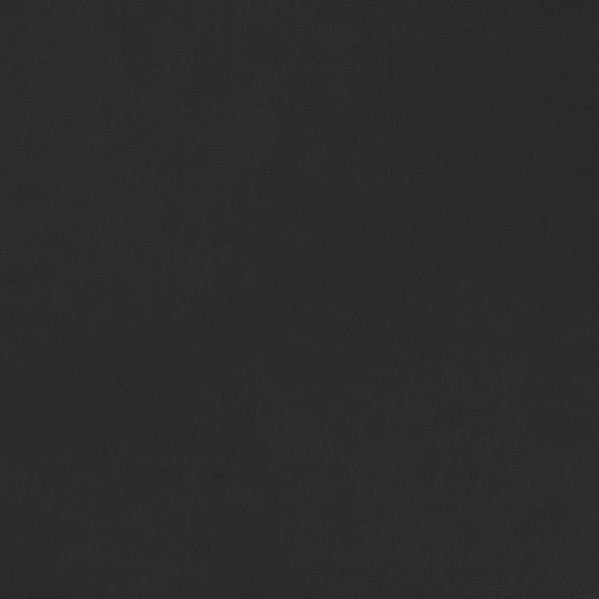A close-up swatch of Dunes 21003 leather, showing the fine grain and deep black colour of the material's texture.