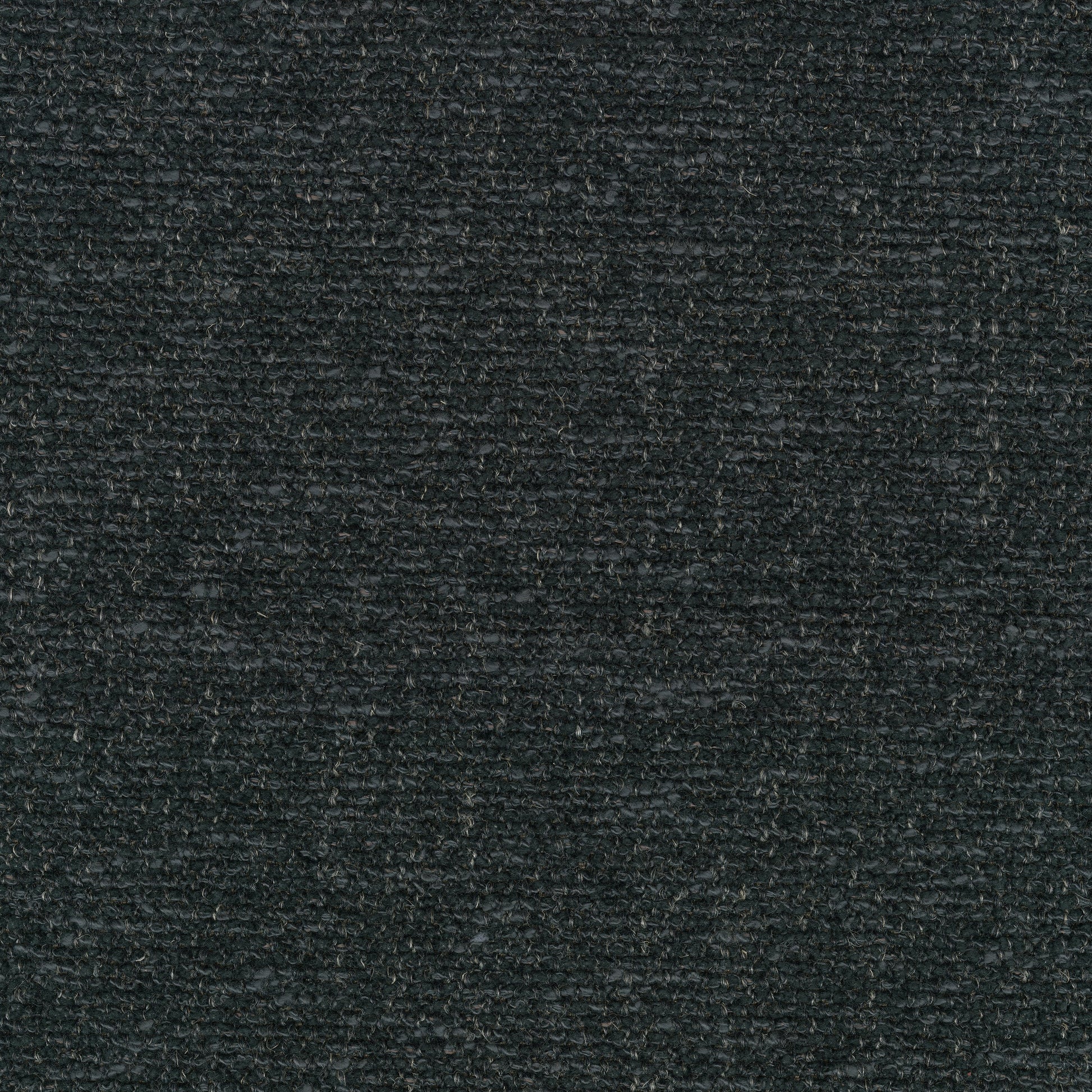 A close-up swatch of Moss 0008 fabric, a dark grey bouclé with a heavily textured, looped weave and flecks of lighter thread.