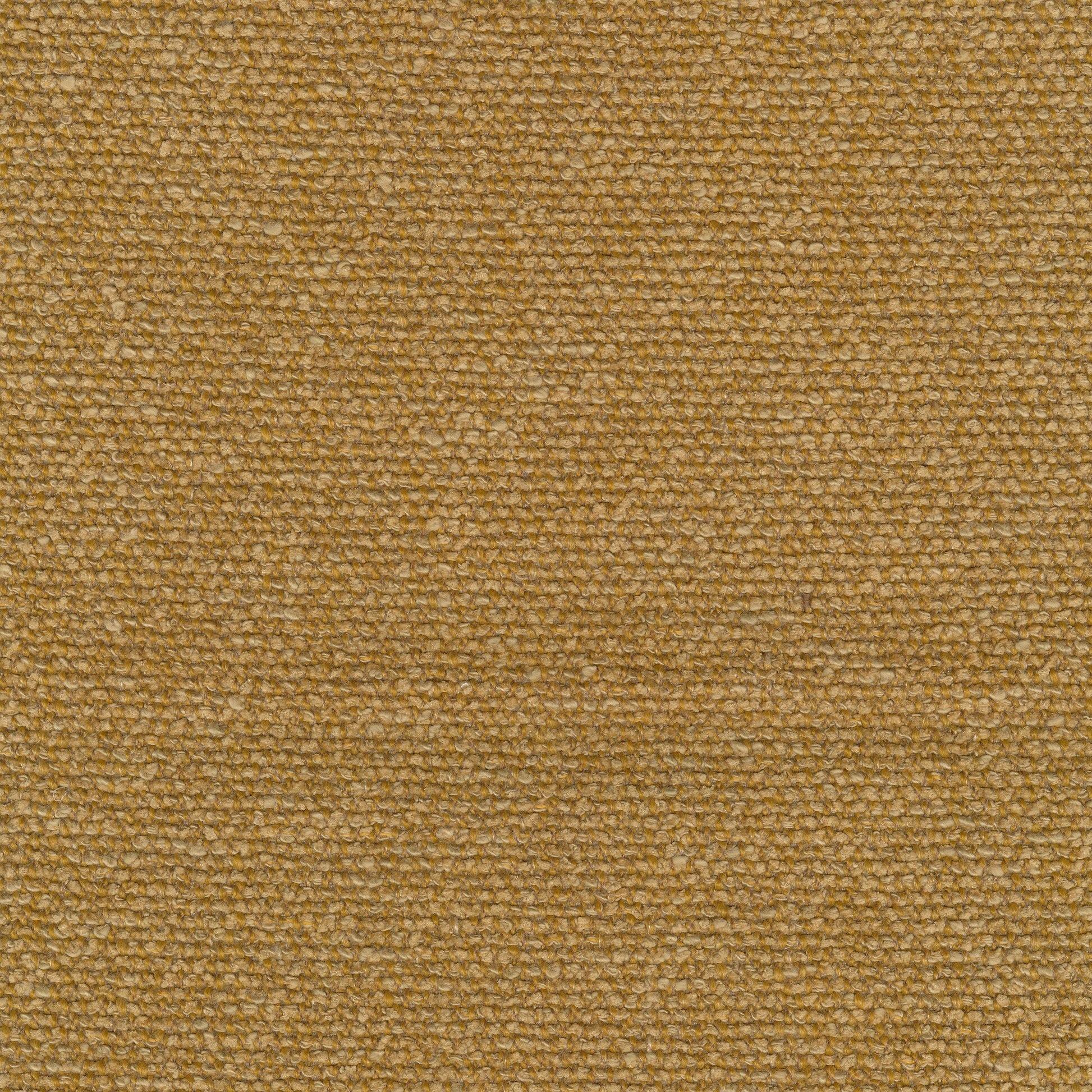 A close-up of the Moss 0022 fabric, showing its heavy, looped weave and textured surface in a golden yellow colour.